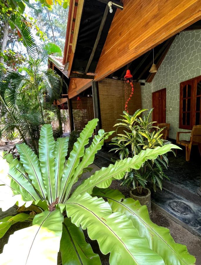 New Roy Guest House Kalkudah  Dış mekan fotoğraf