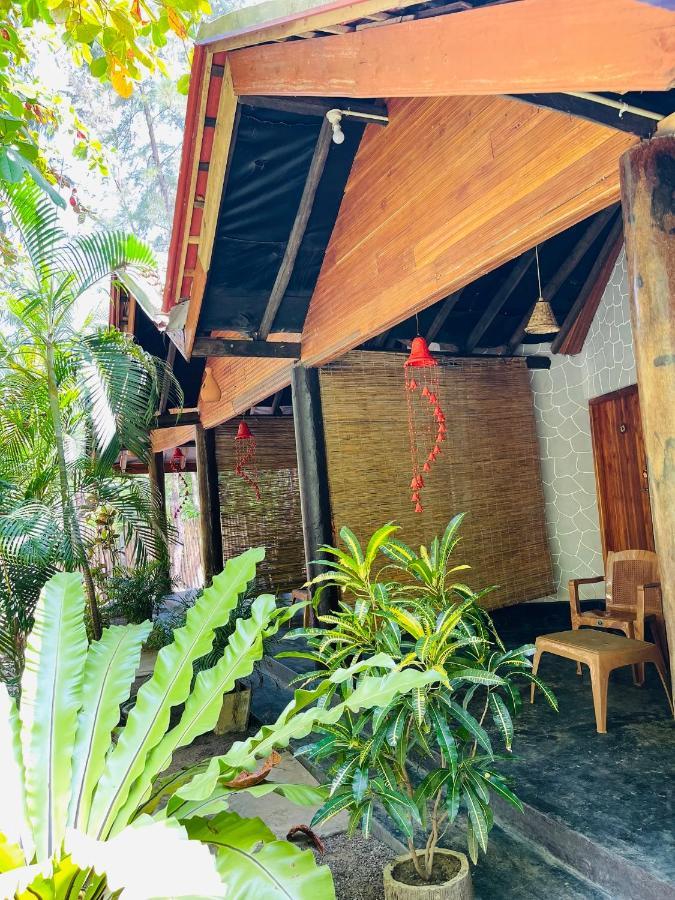 New Roy Guest House Kalkudah  Dış mekan fotoğraf