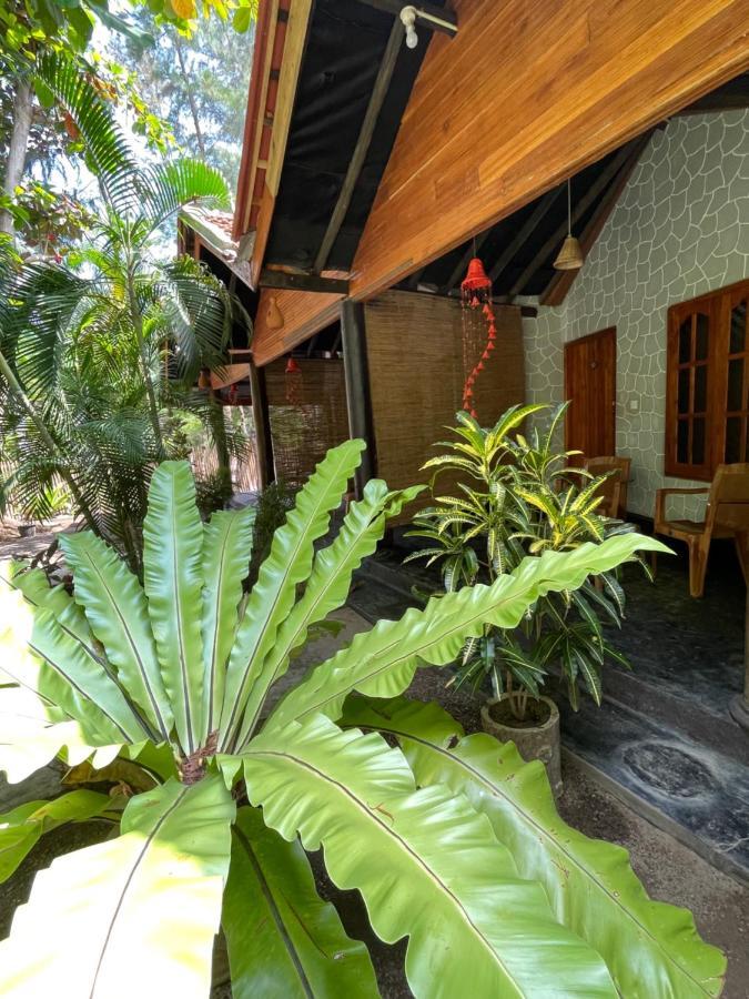 New Roy Guest House Kalkudah  Dış mekan fotoğraf